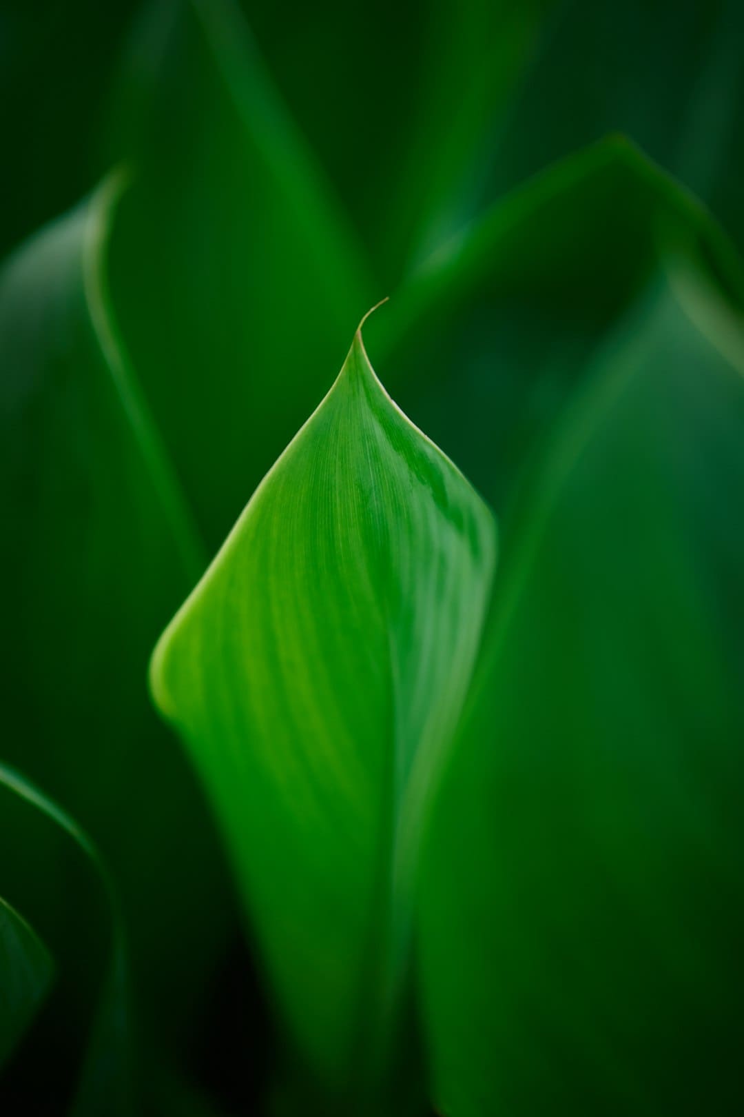 致景科技获评零碳节“双碳数字前锋奖”
